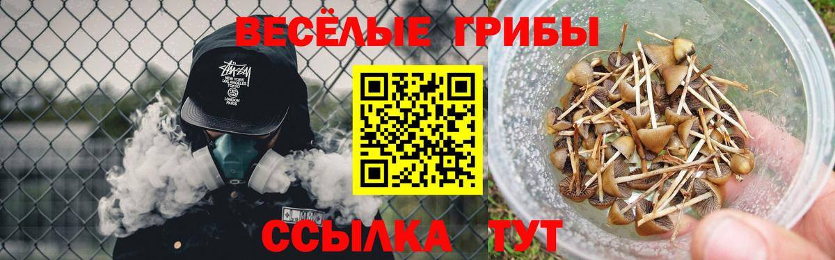 Псилоцибиновые грибы прущие грибы Гусиноозёрск