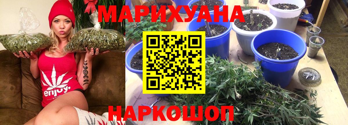 Шишки марихуана конопля  Вход с VPN  Шишки марихуана сатива  Гусиноозёрск  Марихуана сатива 